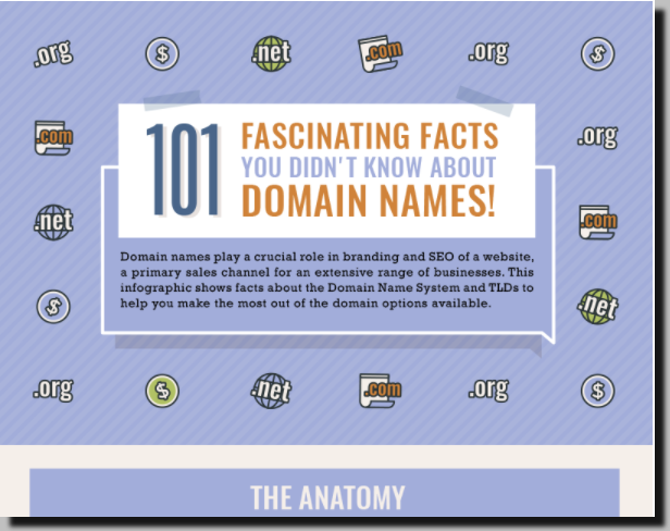 domain facts infographic