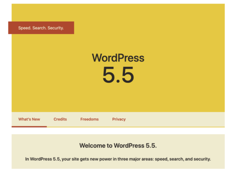 Did WordPress 5.5 Break Your Website?